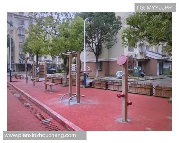 公园健身器材的多样选择与使用技巧探索健康生活新方式